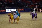 Quadrille - 00436